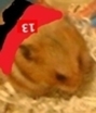 S_576d0b9e445d1e26696b9435589a3e5da1d0307f
