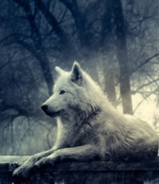L_ab5d3796e3102a7ac47b9ccd1f1bc375cd28f075